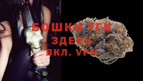 тгк Мегион