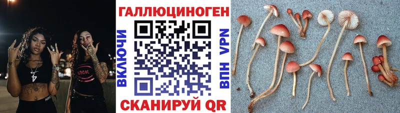 kraken ONION Прокопьевск Псилоцибиновые грибы мицелий